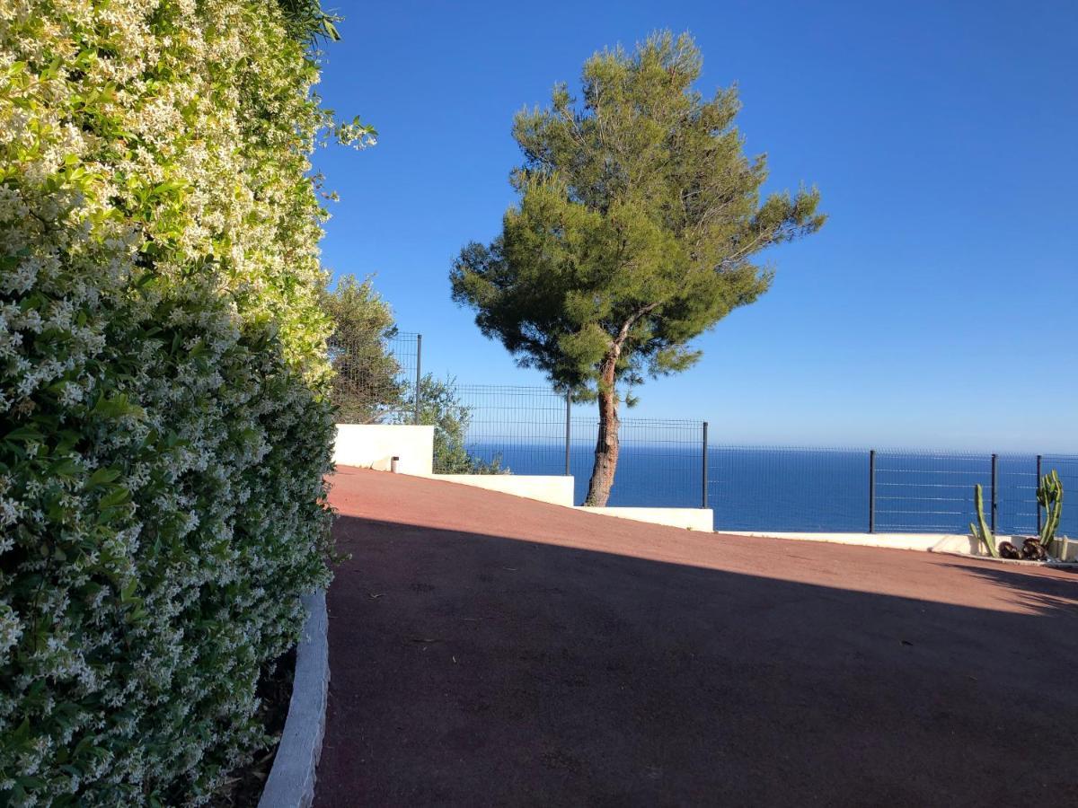 Vue Mer.Tranquilite.Cap D'Ail A 10 Mn De Monaco Cap-d'Ail Εξωτερικό φωτογραφία